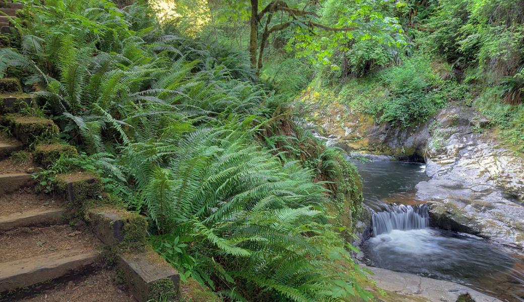 Oregon OREC Office Releases Report On Improving Outdoor Recreation RVIA